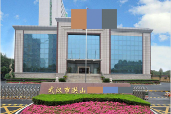 湖北省武汉洪山区检查院